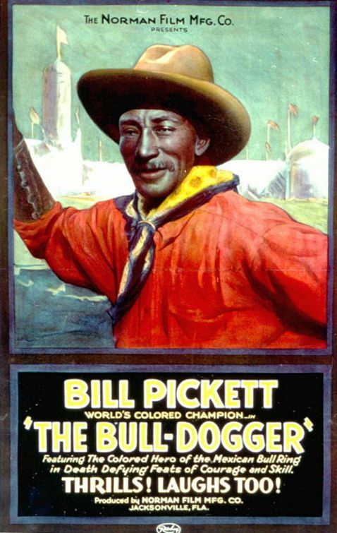 Imagem do Poster do filme 'The Bull-Dogger'