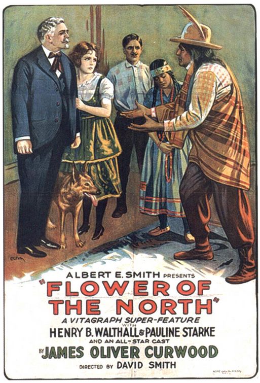Imagem do Poster do filme 'The Flower of the North'