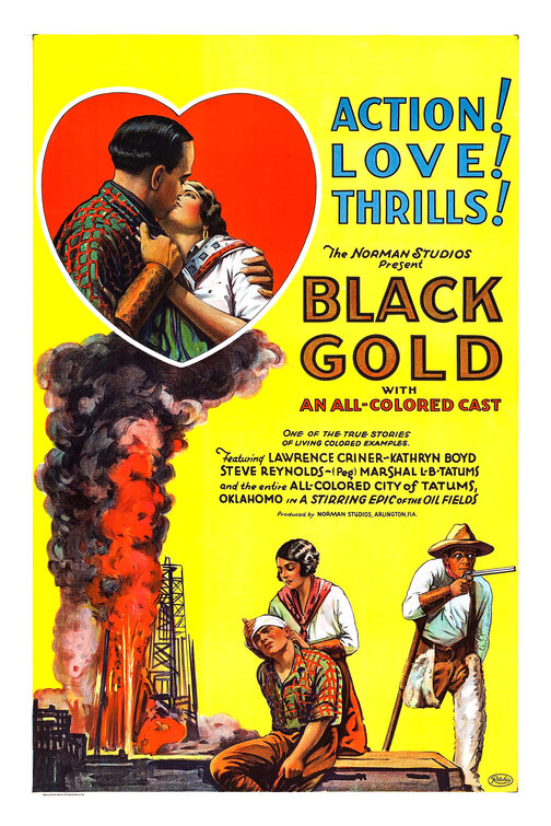 Imagem do Poster do filme 'Black Gold'