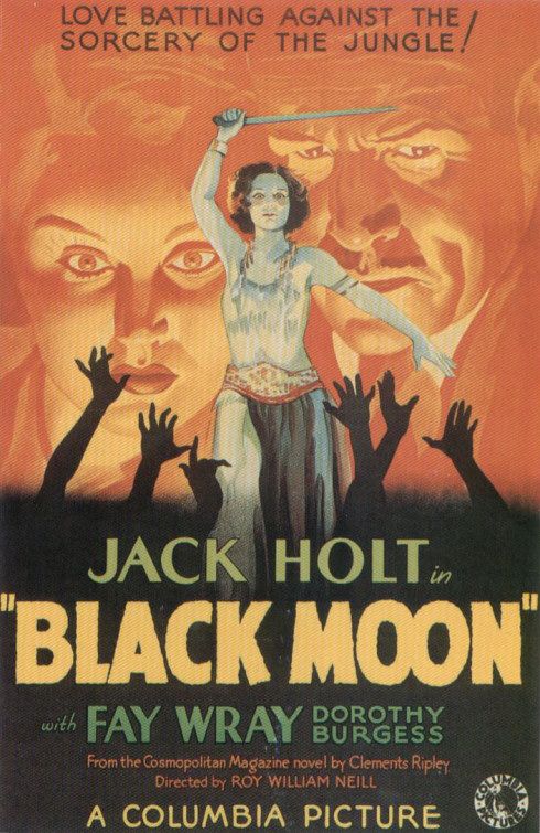Imagem do Poster do filme 'Black Moon'