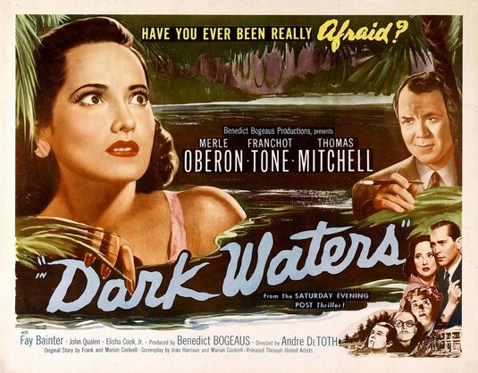 Imagem do Poster do filme 'Dark Waters'