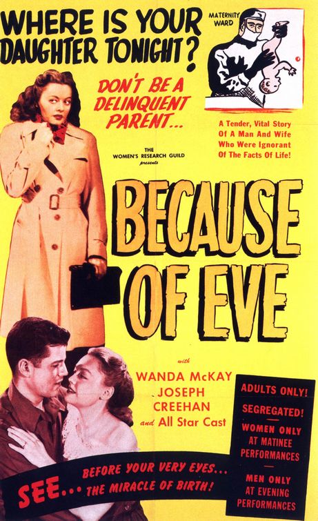 Imagem do Poster do filme 'Because of Eve'