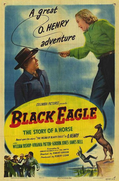Imagem do Poster do filme 'Black Eagle'