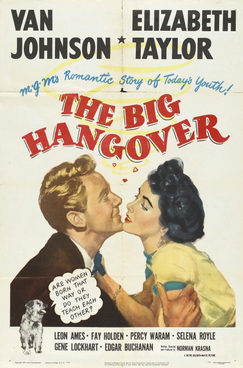 Imagem do Poster do filme 'A Verdade não Se Diz (The Big Hangover)'