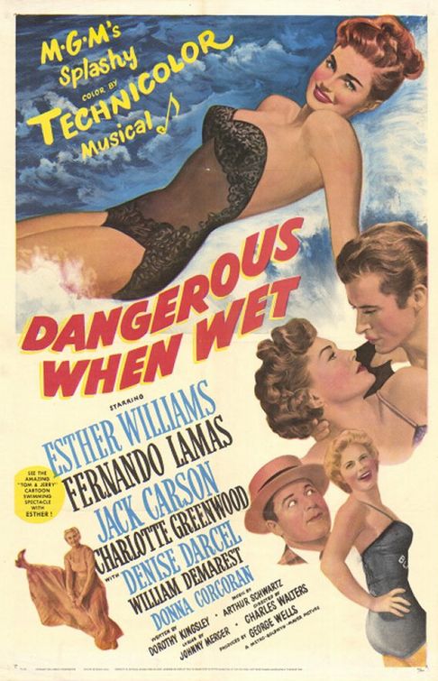 Imagem do Poster do filme 'Salve a Campeã (Dangerous When Wet)'