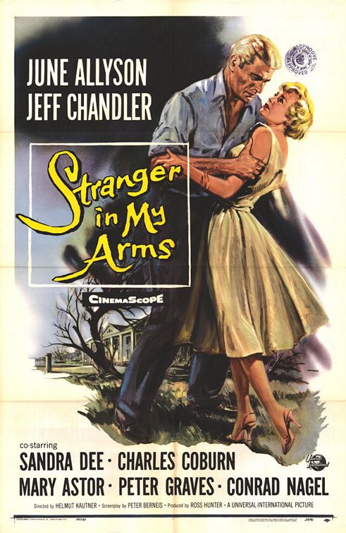 A Stranger in My Arms