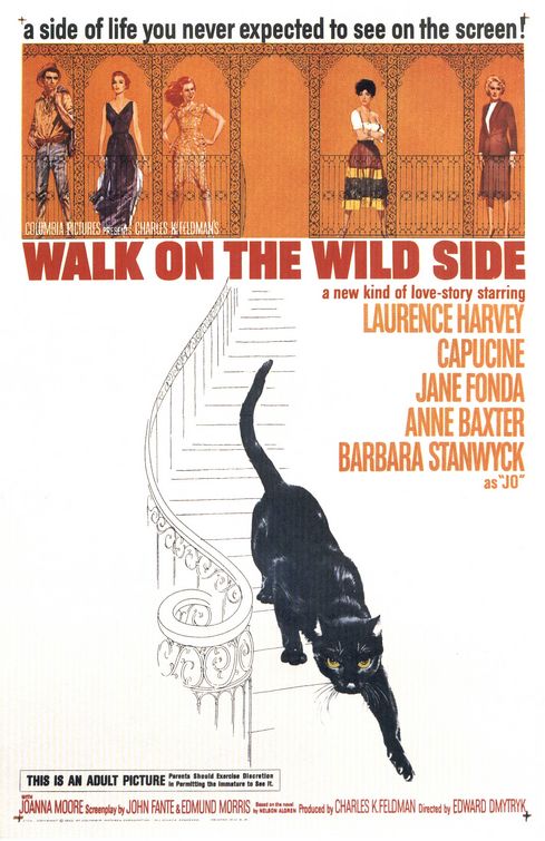 Imagem do Poster do filme 'Pelos Bairros do Vício (Walk on the Wild Side)'