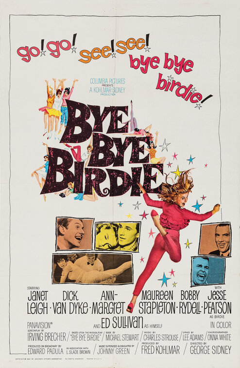 Imagem do Poster do filme 'Bye Bye Birdie'