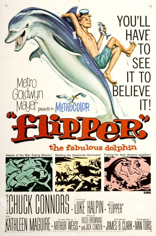 Imagem do Poster do filme 'O Menino e o Delfim (Flipper)'