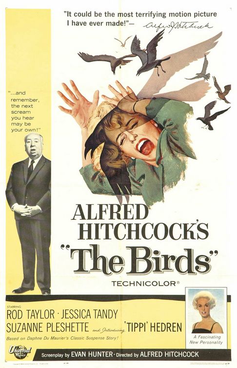 Imagem do Poster do filme 'Os Pássaros (The Birds)'