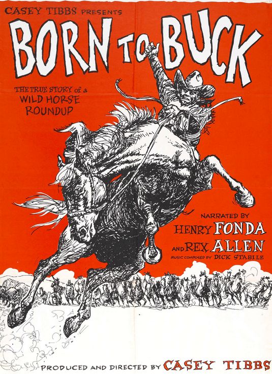 Imagem do Poster do filme 'Born to Buck'