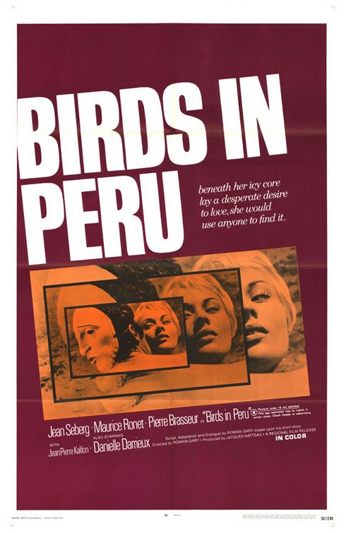 Imagem do Poster do filme 'Birds in Peru'