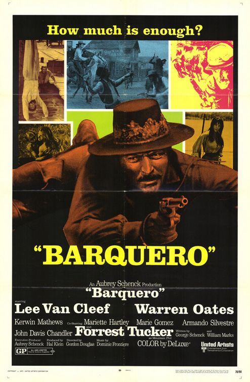 Imagem do Poster do filme 'Barquero'