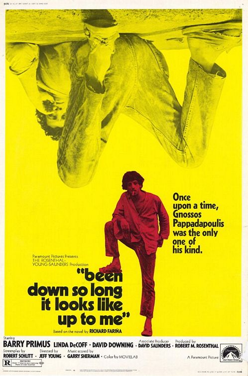 Imagem do Poster do filme 'Been Down So Long It Looks Like Up to Me'