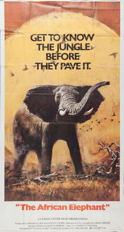 Imagem do Poster do filme 'The African Elephant'