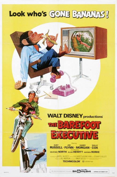 Imagem do Poster do filme 'The Barefoot Executive'