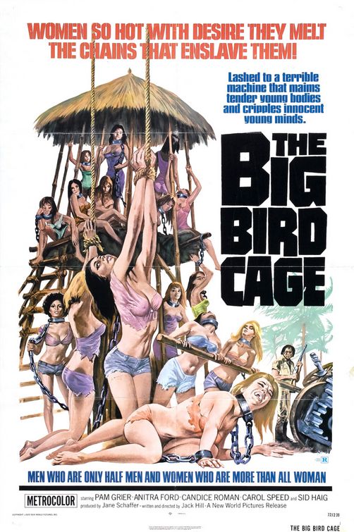 Imagem do Poster do filme 'The Big Bird Cage'