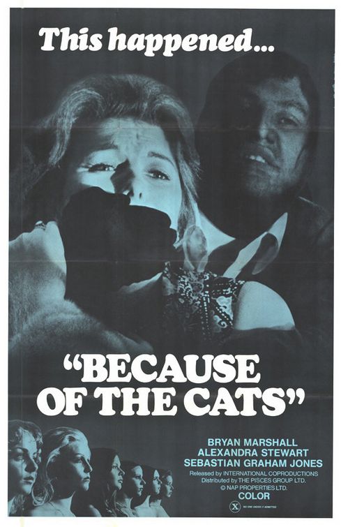 Imagem do Poster do filme 'Because of the Cats'