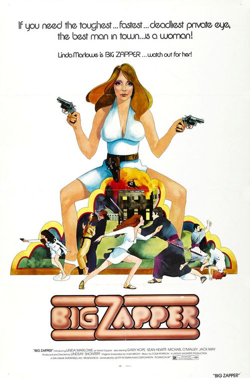 Imagem do Poster do filme 'Big Zapper'