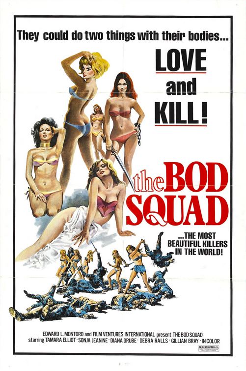 Imagem do Poster do filme 'The Bod Squad'