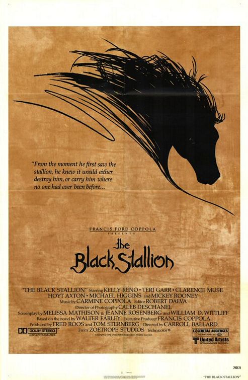 Imagem do Poster do filme 'O Corcel Negro (The Black Stallion)'