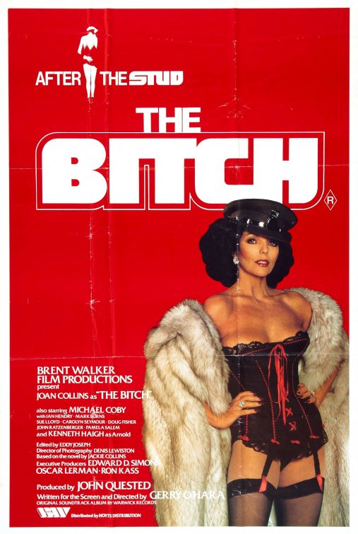 Imagem do Poster do filme 'The Bitch'