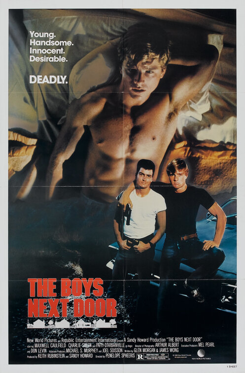Imagem do Poster do filme 'Os Desajustados (The Boys Next Door)'