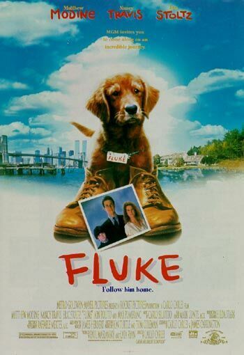 Fluke