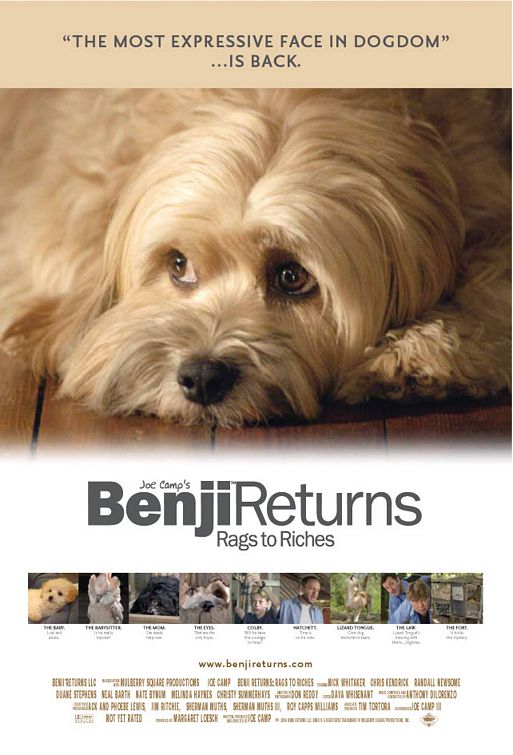 Imagem do Poster do filme 'Benji, um Amigo Especial (Benji Returns: Rags to Riches)'
