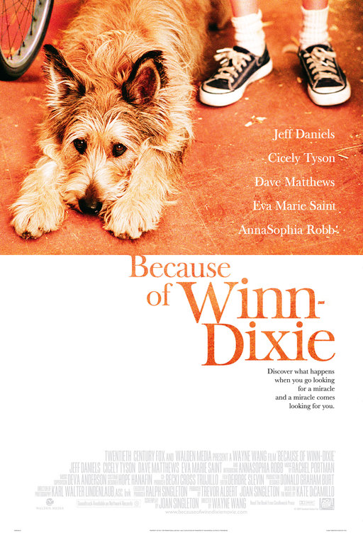 Imagem do Poster do filme 'Meu Melhor Amigo (Because of Winn-Dixie)'