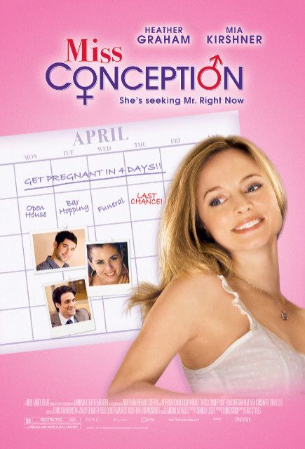 Imagem do Poster do filme 'Procura-se um Marido (Miss Conception)'