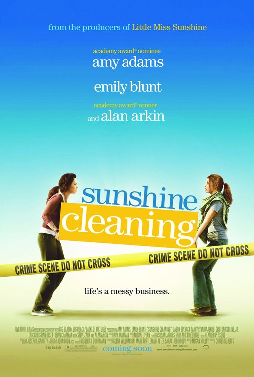 Sunshine Cleaning