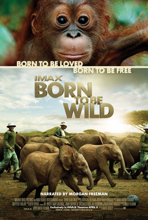 Imagem do Poster do filme 'Livres por Natureza (Born to Be Wild)'
