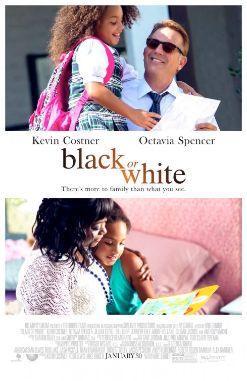 Imagem do Poster do filme 'Preto e Branco (Black or White)'