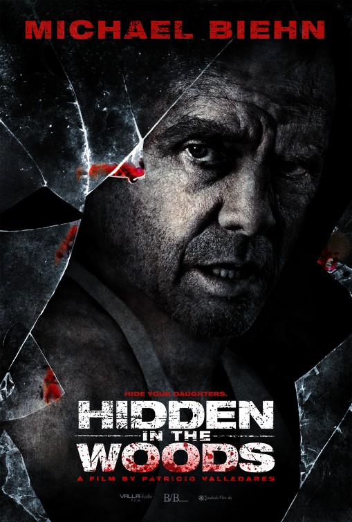 Imagem do Poster do filme 'Hidden in the Woods'