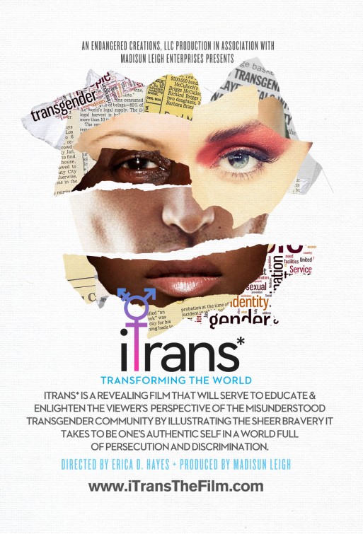 Imagem do Poster do filme 'iTrans*'