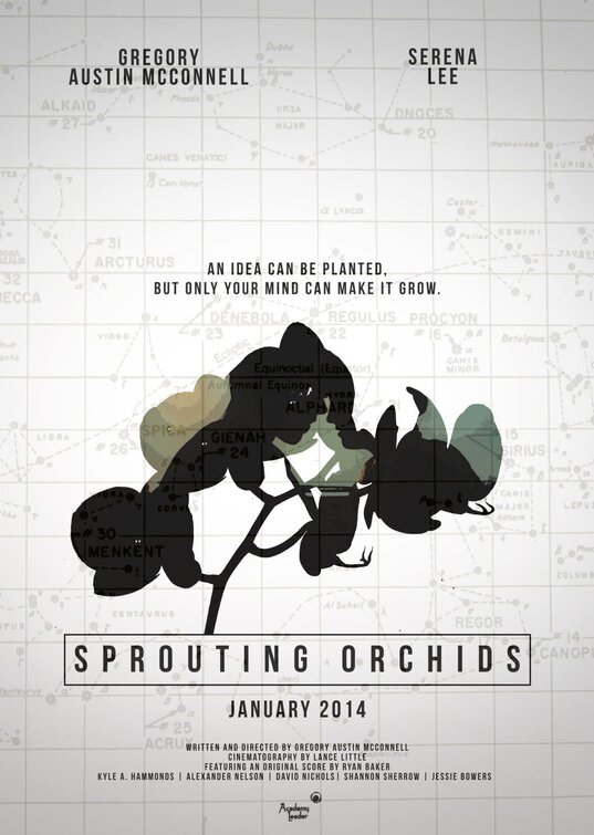 Sprouting Orchids