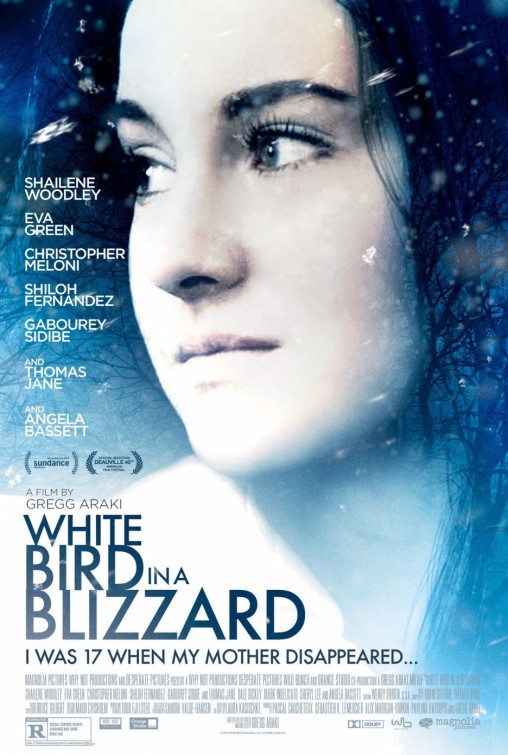 Imagem do Poster do filme 'Pássaro Branco na Nevasca (White Bird in a Blizzard)'