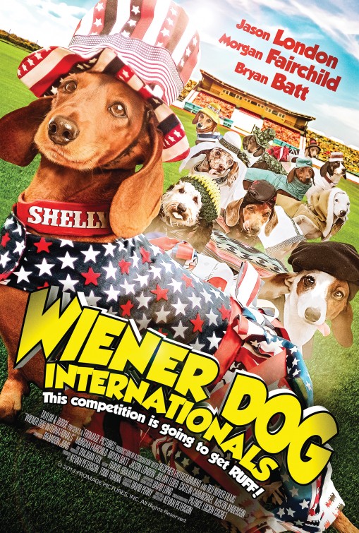 Wiener Dog Internationals