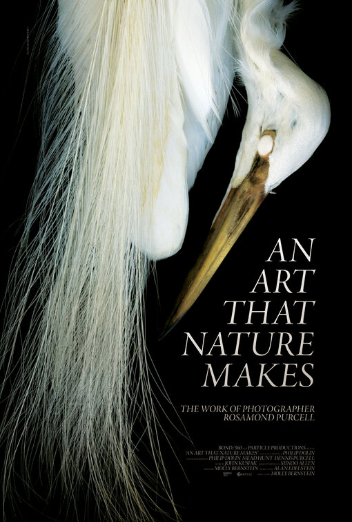 Imagem do Poster do filme 'An Art That Nature Makes: The Work of Rosamond Purcell'