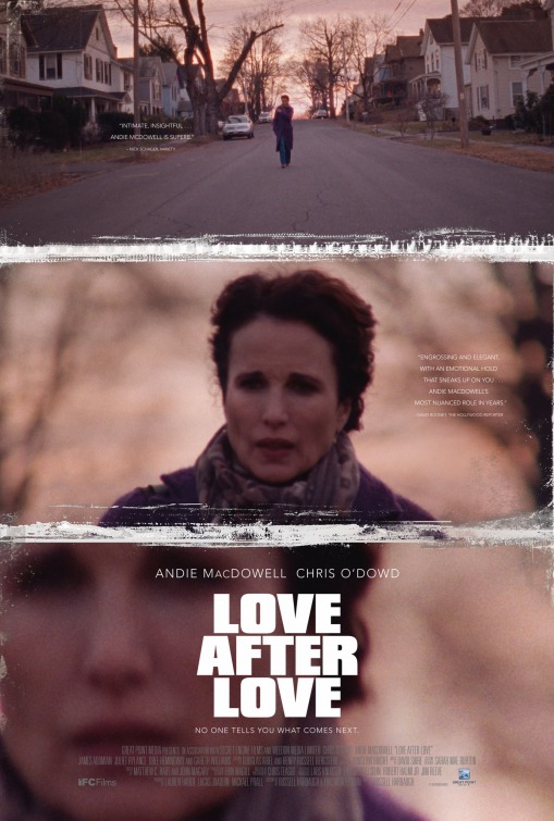 Imagem do Poster do filme 'Love After Love'