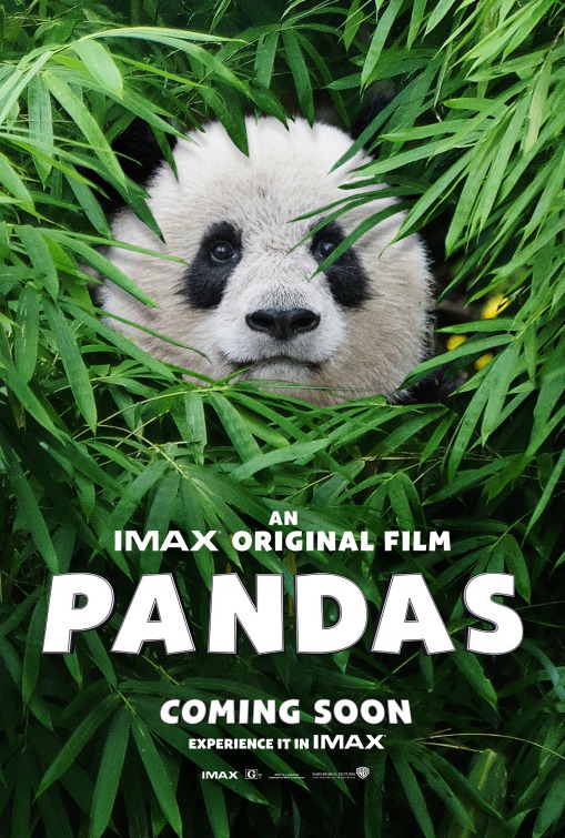 Imagem do Poster do filme 'Pandas'