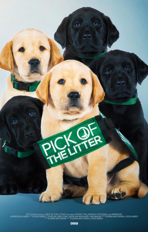 Imagem do Poster do filme 'Pick of the Litter'