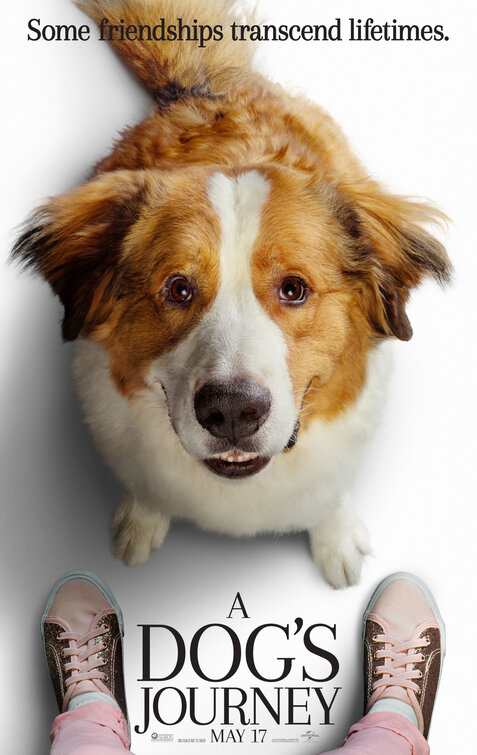 Imagem do Poster do filme 'Juntos Para Sempre (A Dog's Journey)'