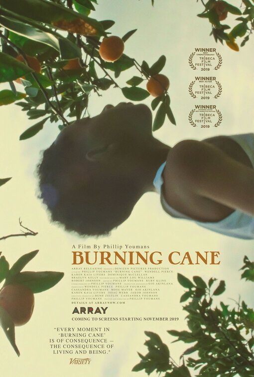 Imagem do Poster do filme 'Burning Cane'