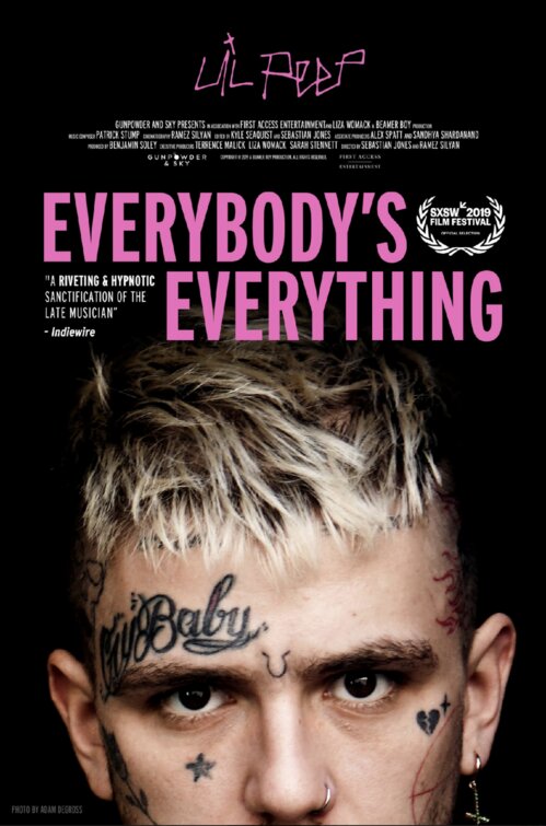 Imagem do Poster do filme 'Everybody's Everything'