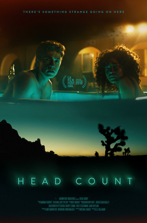 Imagem do Poster do filme 'Head Count'