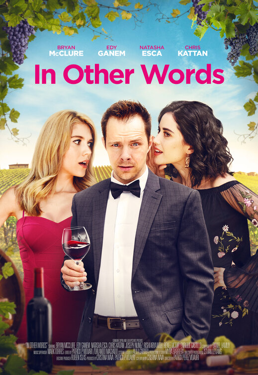 Imagem do Poster do filme 'In Other Words'