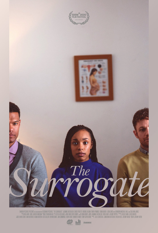 Imagem do Poster do filme 'Mãe de Aluguel (The Surrogate)'