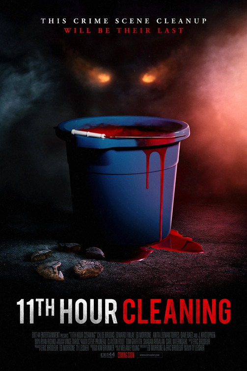 Imagem do Poster do filme '11th Hour Cleaning'